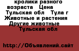 кролики разного возраста › Цена ­ 200 - Тульская обл., Тула г. Животные и растения » Другие животные   . Тульская обл.